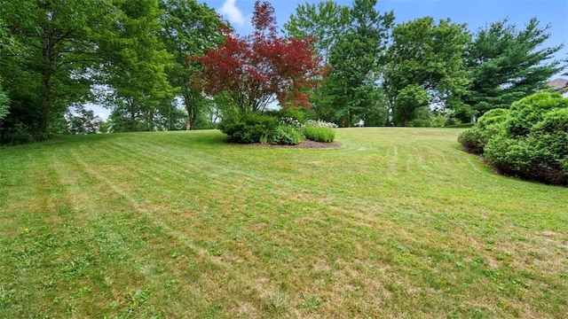 305 Jefferson St, Export, PA 15632 - photo 43