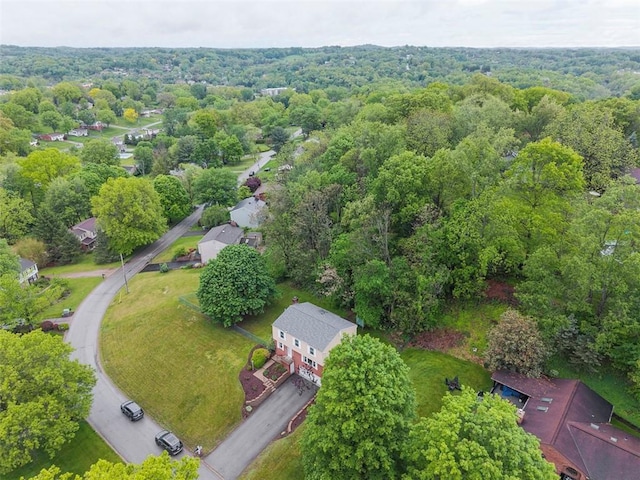 215 E Edgewood Dr, Peters Twp, PA 15317 - bird's eye view of a heavily wooded area