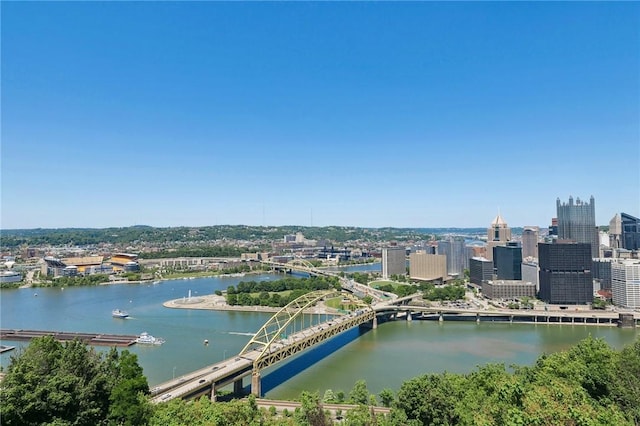 600 Grandview Ave, Mt Washington, PA 15211 - photo 41