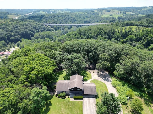 306 Barbara Dr, Carroll Twp, PA 15063 - bird's eye view of a forest