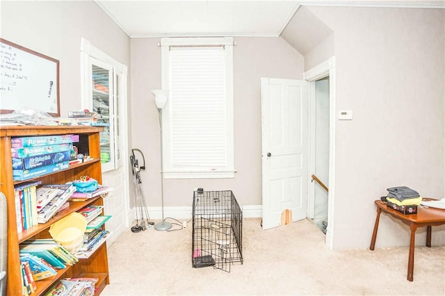 1004 N Grant Ave, Kittanning Boro, PA 16201 - photo 14