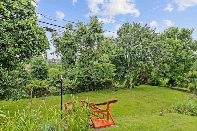 1709 Eben St, Brookline, PA 15226 - photo 40