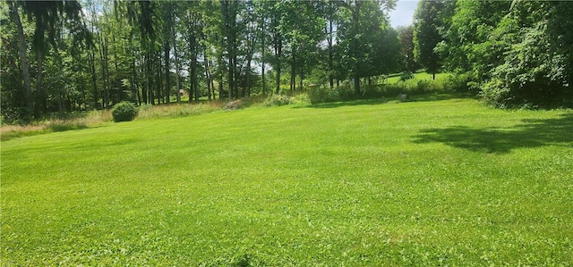 96 Greendale Ave, White Twp, PA 15701 - photo 7