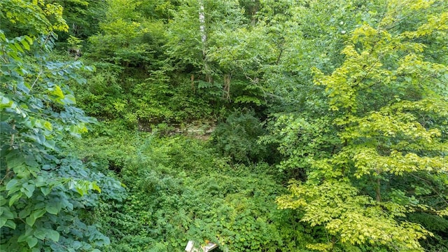 151 Cove Run Rd, Bradys Bend Twp, PA 16028 - view of wooded area