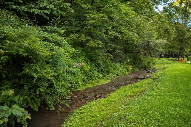 151 Cove Run Rd, Bradys Bend Twp, PA 16028 - view of green lawn