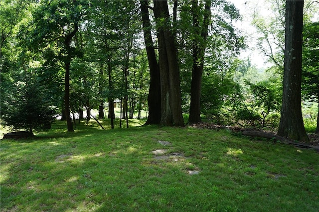 149 Ridgewood Rd, Ross Twp, PA 15237 - photo 13