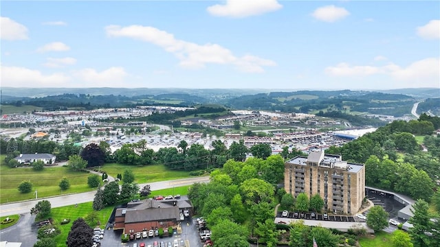 820 E Beau St Unit Tlc, South Strabane, PA 15301 - drone / aerial view