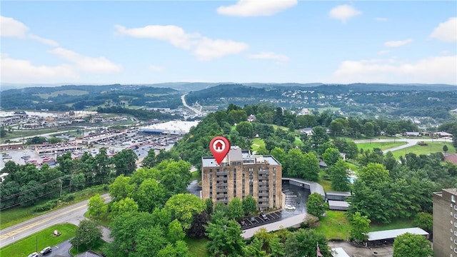 820 E Beau St Unit Tlc, South Strabane, PA 15301 - bird's eye view