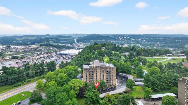 820 E Beau St Unit Tlc, South Strabane, PA 15301 - aerial view
