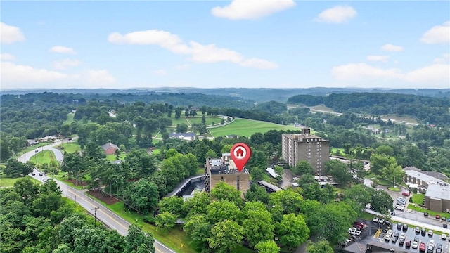 820 E Beau St Unit Tlc, South Strabane, PA 15301 - aerial view