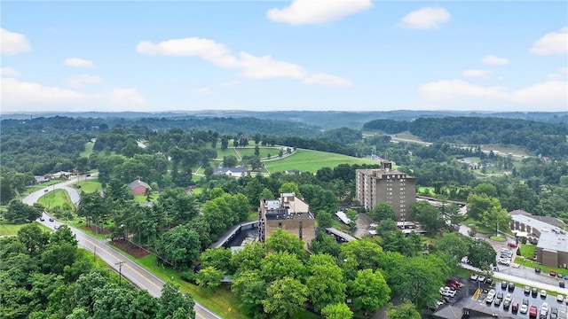 820 E Beau St Unit Tlc, South Strabane, PA 15301 - bird's eye view