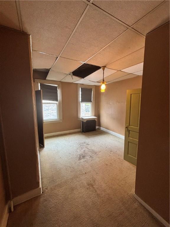 90 Pius St, South Side, PA 15203 - photo 9