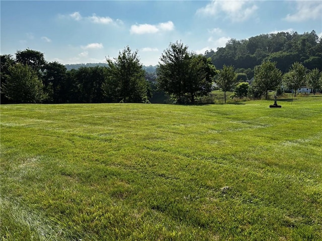 195 Rural Ave, South Strabane, PA 15301 - view of grassy yard with a view of rural / pastoral area