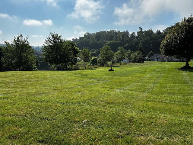 195 Rural Ave, South Strabane, PA 15301 - view of property's community featuring a yard