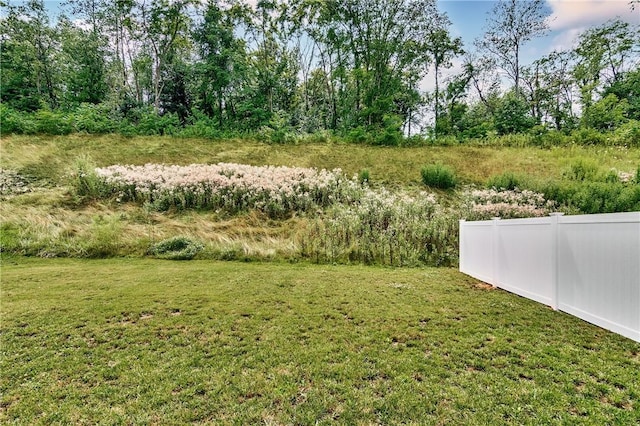 238 Smith Ln, Chippewa Twp, PA 15010 - view of yard
