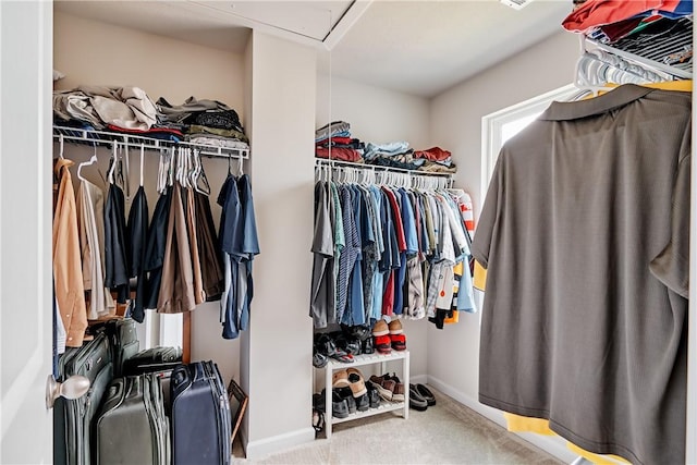238 Smith Ln, Chippewa Twp, PA 15010 - spacious closet featuring carpet floors and attic access