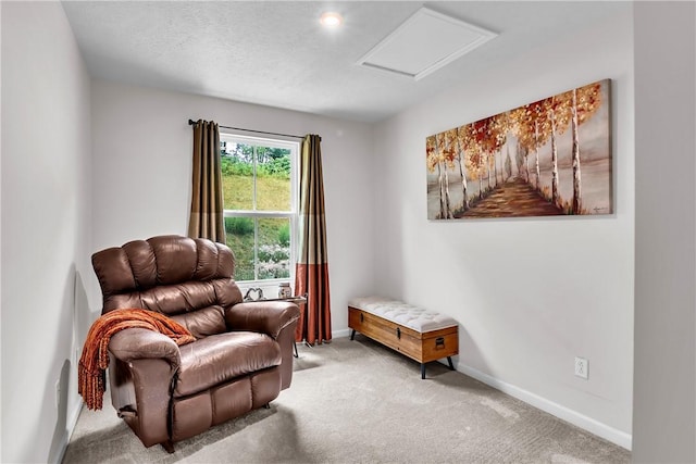 238 Smith Ln, Chippewa Twp, PA 15010 - living area featuring light colored carpet and attic access