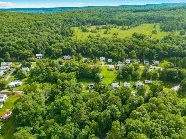 136 B St, Shade Twp, PA 15563 - bird's eye view of a heavily wooded area