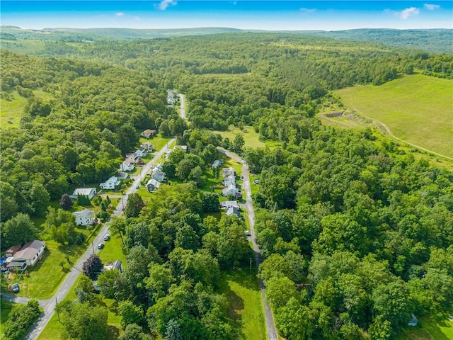 136 B St, Shade Twp, PA 15563 - bird's eye view of a heavily wooded area