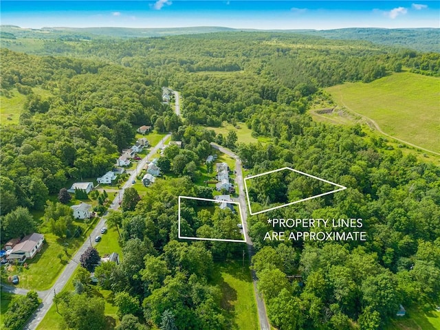 136 B St, Shade Twp, PA 15563 - aerial view of property's location with a forest and property boundaries highlighted