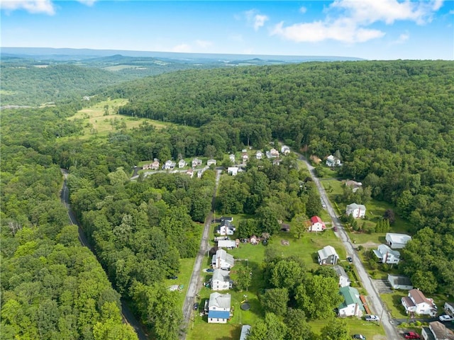 136 B St, Shade Twp, PA 15563 - aerial view of property's location with a heavily wooded area