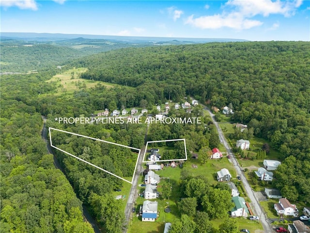 136 B St, Shade Twp, PA 15563 - view of property location featuring a heavily wooded area and property parcel outlined
