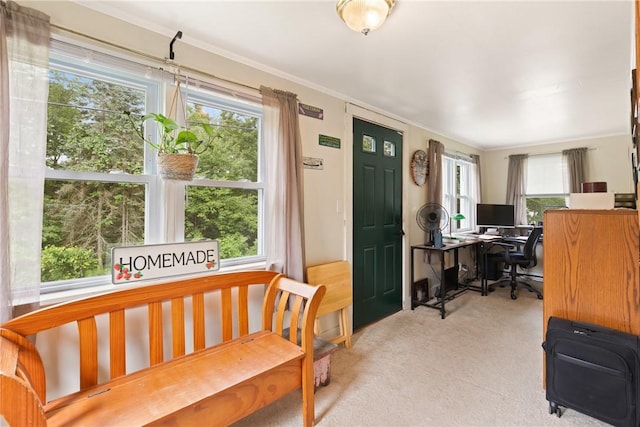 136 B St, Shade Twp, PA 15563 - carpeted office with plenty of natural light and ornamental molding