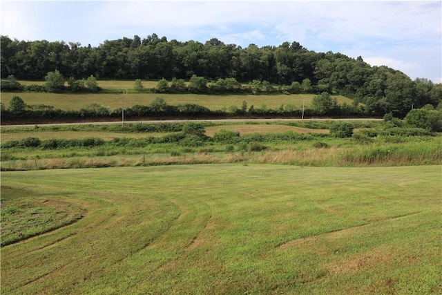 138 Birch Ln E, Mahoning/Marion Ctr, PA 15759 - photo 19