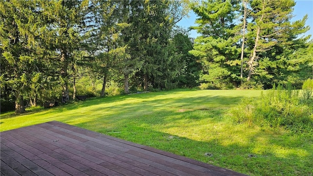 2902 Sandy Lake Grove City Rd, Sandy Lake Twp, PA 16153 - photo 29