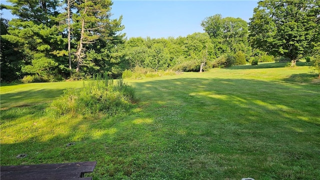 2902 Sandy Lake Grove City Rd, Sandy Lake Twp, PA 16153 - photo 30