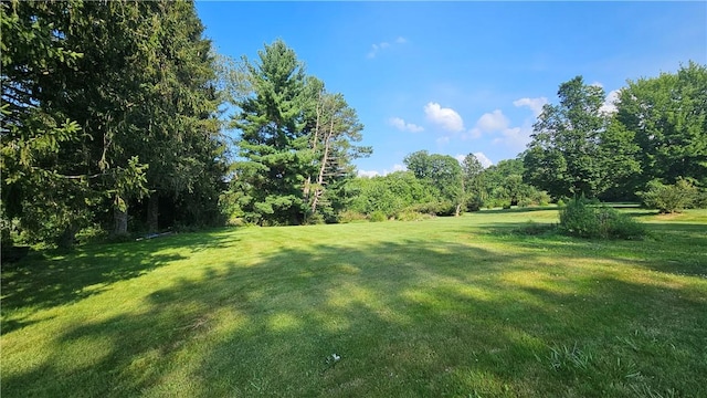 2902 Sandy Lake Grove City Rd, Sandy Lake Twp, PA 16153 - photo 6