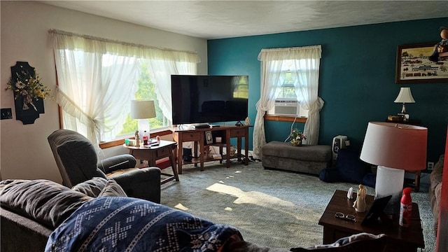 2902 Sandy Lake Grove City Rd, Sandy Lake Twp, PA 16153 - photo 10