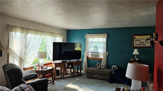 2902 Sandy Lake Grove City Rd, Sandy Lake Twp, PA 16153 - photo 12