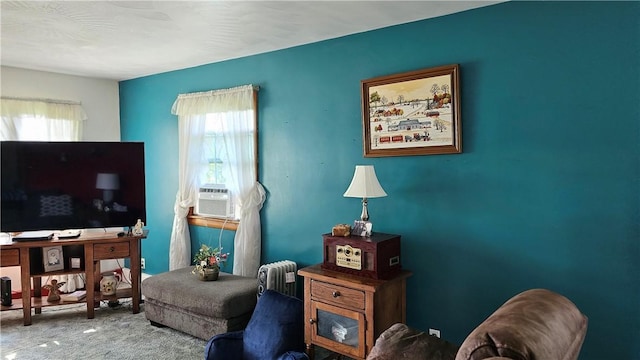 2902 Sandy Lake Grove City Rd, Sandy Lake Twp, PA 16153 - photo 14