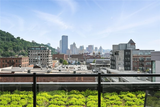 2545 Penn Ave Unit 208, Downtown Pgh, PA 15222 - view of city skyline