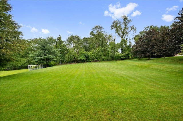103 Cool Springs Ln, Penn Twp, PA 15636 - view of yard featuring a sport area and view of scattered trees