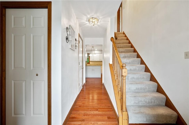 103 Cool Springs Ln, Penn Twp, PA 15636 - hallway with light wood-style flooring and stairway