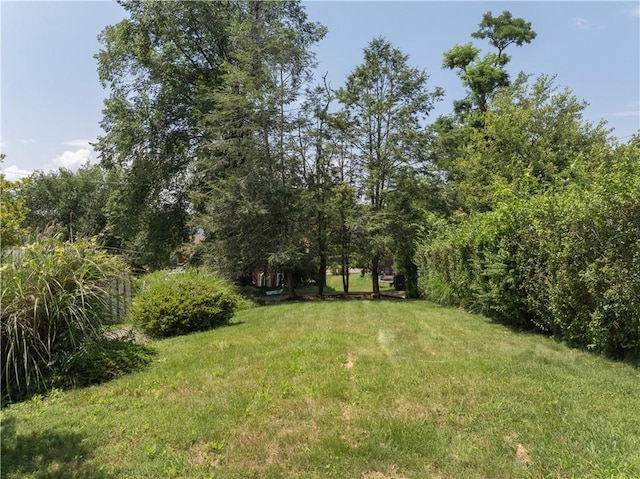 644 3rd St, Verona, PA 15147 - photo 23