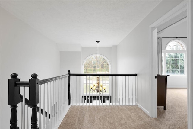 248 William Dr, North Strabane, PA 15317 - photo 20