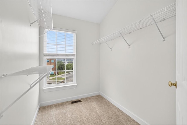 202 Village Pl, Pine Twp, PA 15090 - photo 24