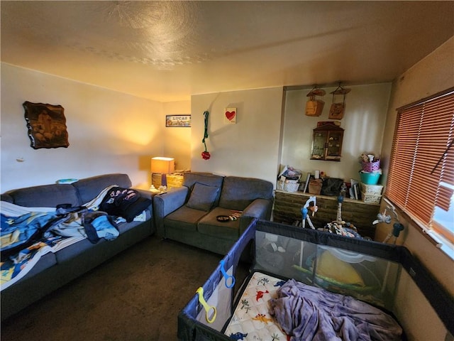 519 Greensburg Pike N, Versailles, PA 15137 - photo 23
