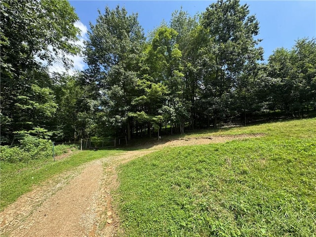619 Houser Rd, Rayne Twp/Ernest, PA 15747 - photo 21