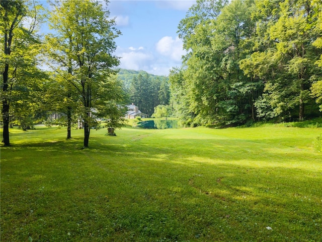 513 Austraw Rd, Ligonier Twp, PA 15658 - photo 43
