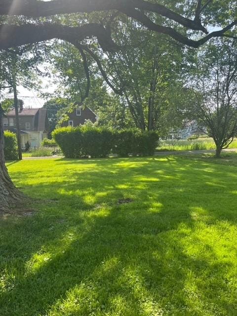 710 Cedar Ave, Sharon, PA 16146 - photo 6