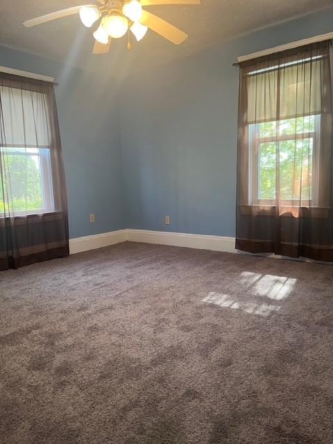 710 Cedar Ave, Sharon, PA 16146 - photo 19