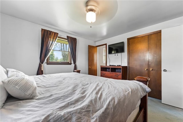 239 Walnut St, Houston, PA 15342 - photo 21