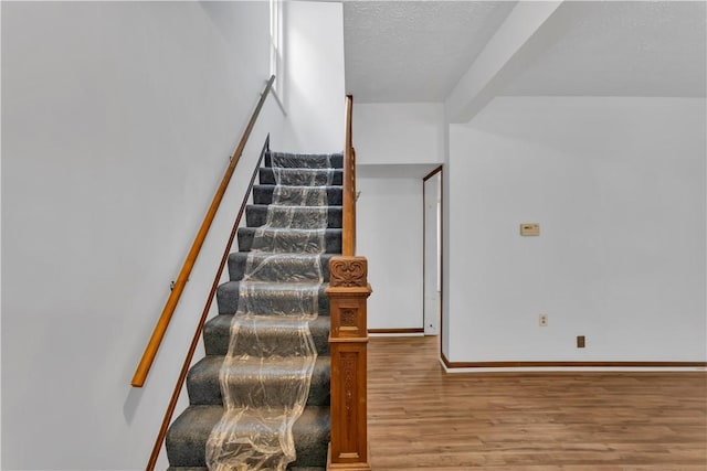 550 Pennsylvania Ave, Rochester, PA 15074 - photo 6
