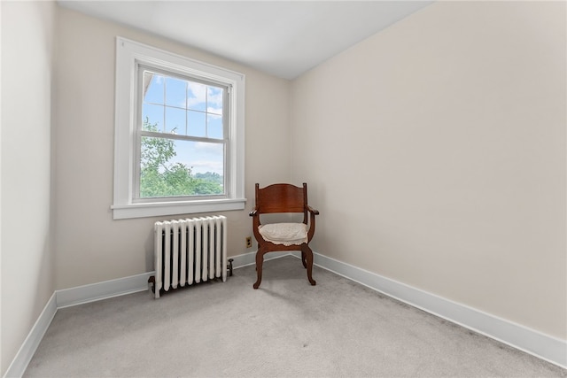 250 Dell Ave, Mt Lebanon, PA 15216 - photo 34