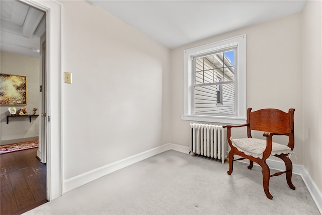 250 Dell Ave, Mt Lebanon, PA 15216 - photo 35