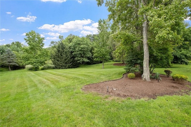 414 Lenox Ct, Richland, PA 15044 - photo 47